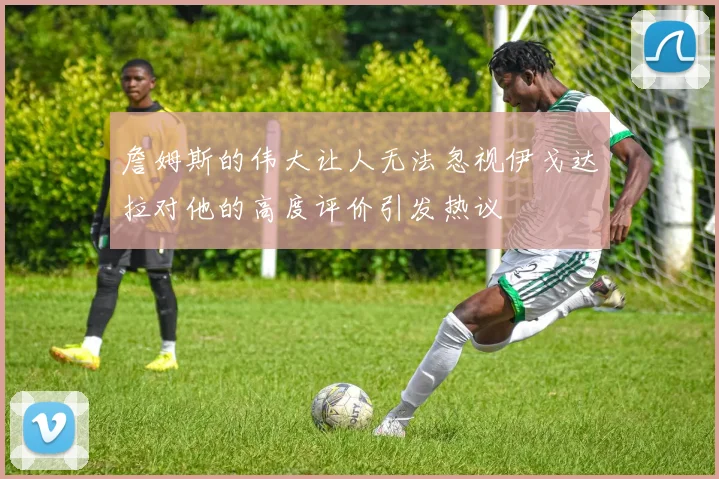 詹姆斯的伟大让人无法忽视伊戈达拉对他的高度评价引发热议